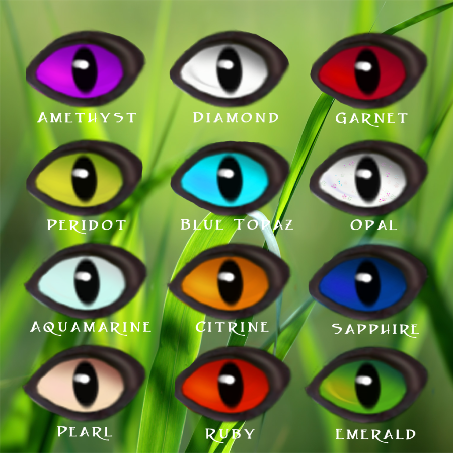 Eye Types – WK – Wild Kajaera