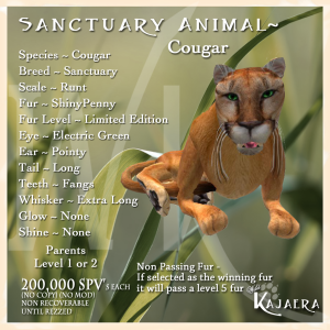 Sanctuary Cougar fix