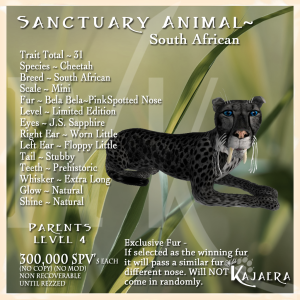 Sanctuary S. African Cheetah