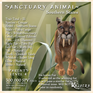 Sanctuary S.State Cougar