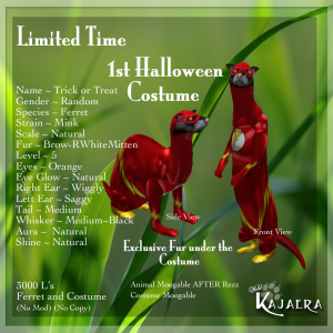 WK Ferret Halloween Costume